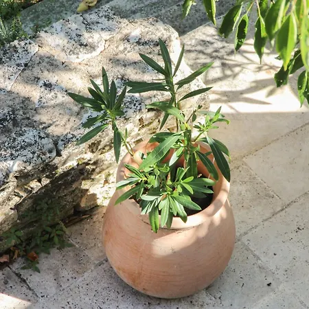 Moulins De Clan Bed & Breakfast 3*