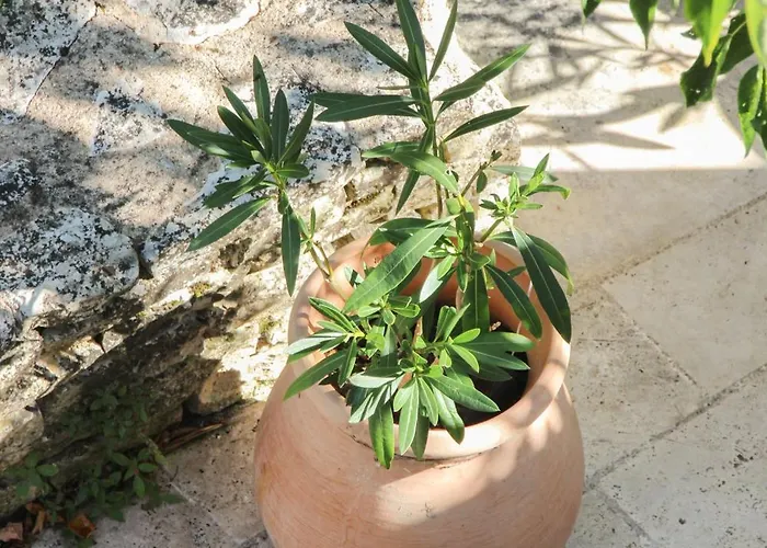 Moulins De Clan Bed and breakfast 3*